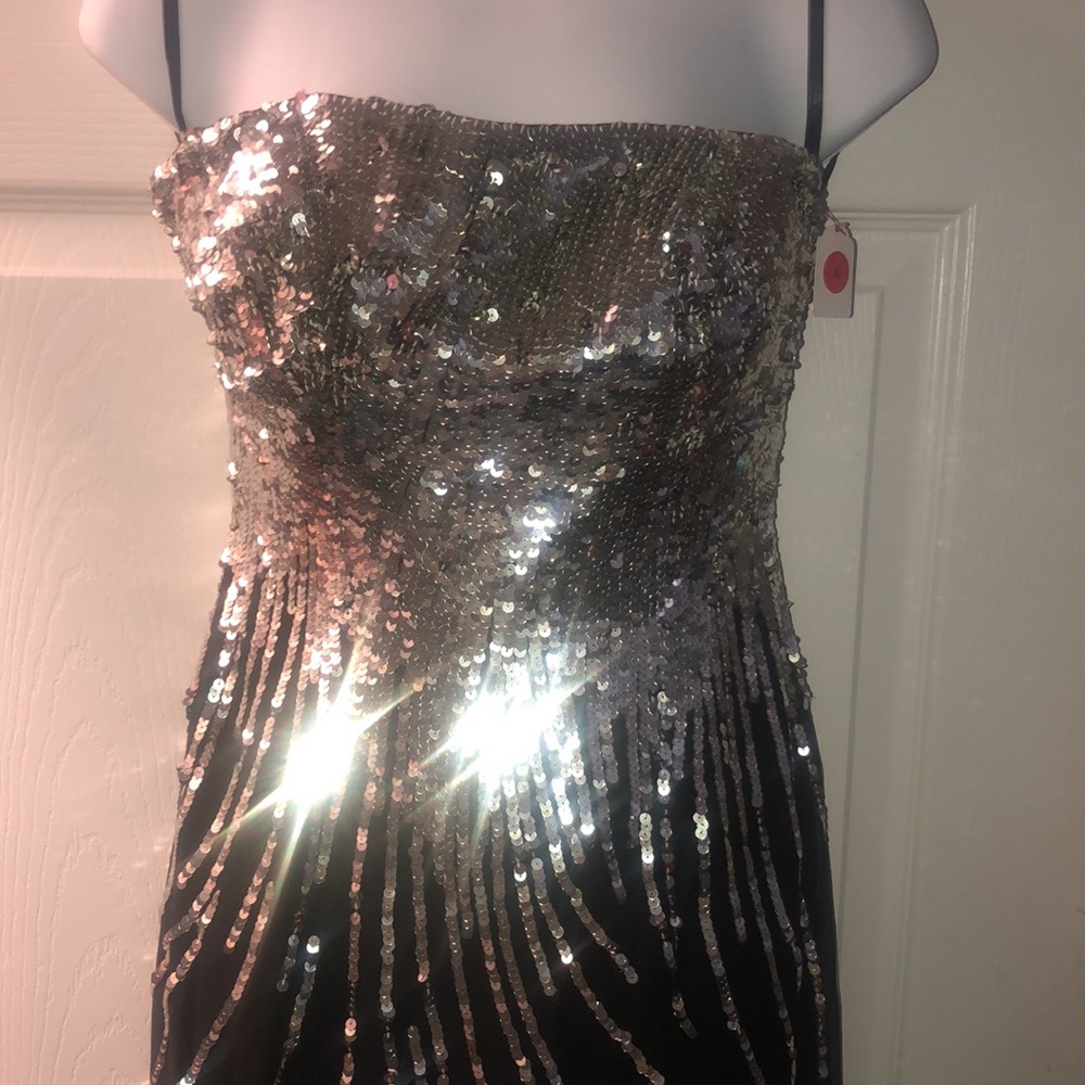 Panoply 100% percent Silk and Chic Black and Silver Sequin lined dress